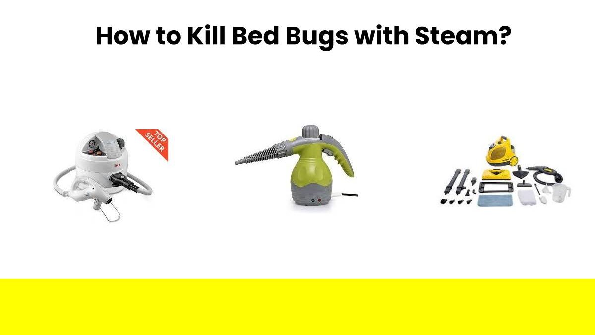 How to Kill Bed Bugs with Steam? – Computer Tech Reviews